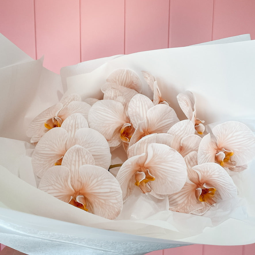 LUXURY KISSES • Phalaenopsis Orchid Stem