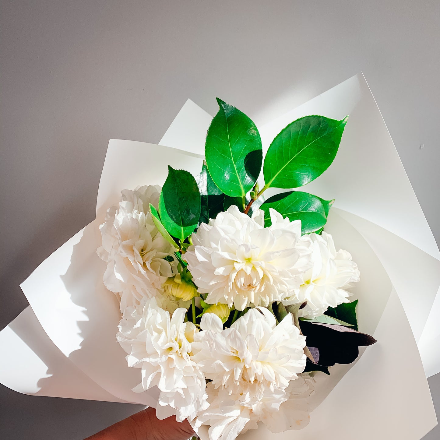 A BUNCH OF KISSES • Seasonal Blooms En Masse