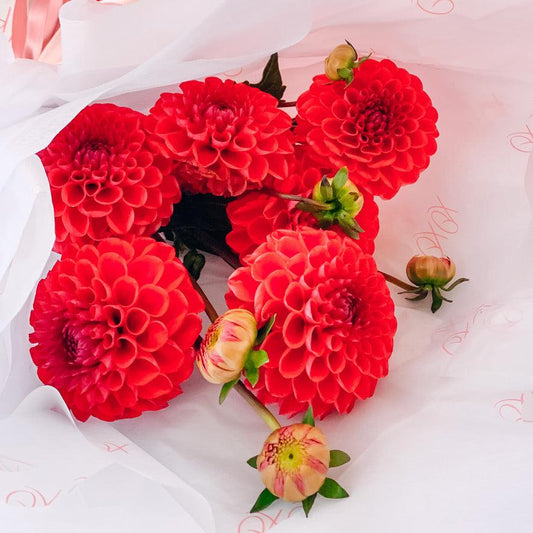 A BUNCH OF KISSES - Seasonal Blooms En Masse