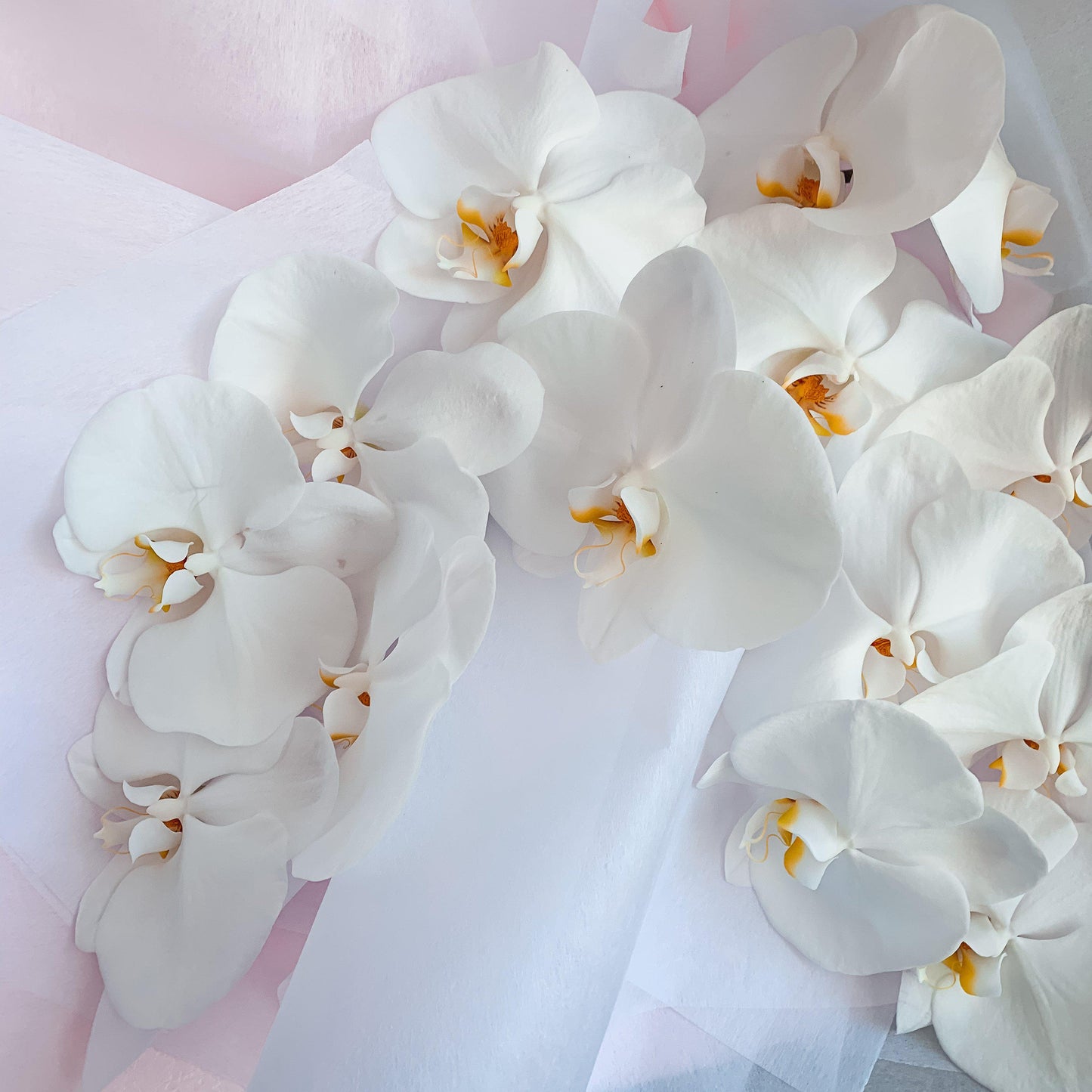 BUTTERFLY KISSES - Luxury Phalaenopsis Orchid Stems
